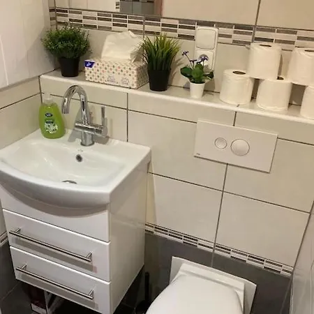 Apartment Star Brno With Terrace 5 *