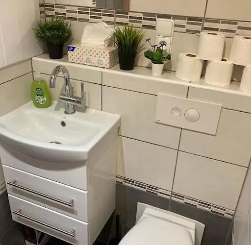 Appartement Star Brno With Terrace 5 *